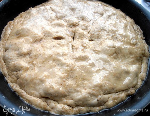 Складываем пополам для удобства и переносим в форму...Можно смазать верх маслом.