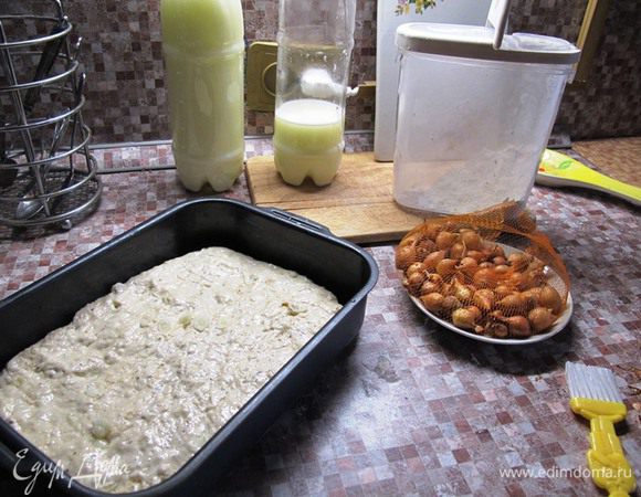 Половину муки просеять в миску, добавить соль, сахар. Сделать углубление и добавить разведенные в половине теплой сыворотки дрожжи, затем остальную сыворотку и масло. И начинать постепенно вмешивать оставшуюся муку. Замесить мягкое тесто.
Оставить в теплом месте на час (или пока не увеличится в обьеме в 2 раза).
Тесто обмять. Добавить нарезанный лук, специи, сухой чеснок. И еще раз вымесить.
Выложить тесто в смазанную маслом форму и руками равномерно распределить в ней. Верх смазать крепким чаем и посыпать пряными травами.