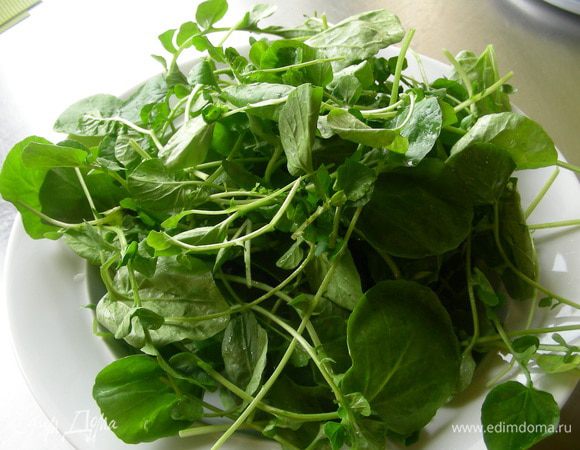 Кресс-салат моем и сушим.

