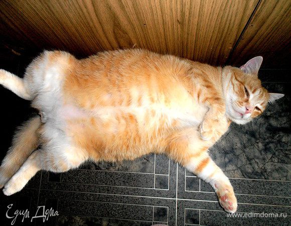 Вот такая у нас жара стоит...,а бедный кот в своей натуральной "дублёнке" страдает)))