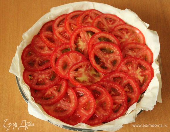 На слой баклажанов выложить порезанные колечками помидоры.