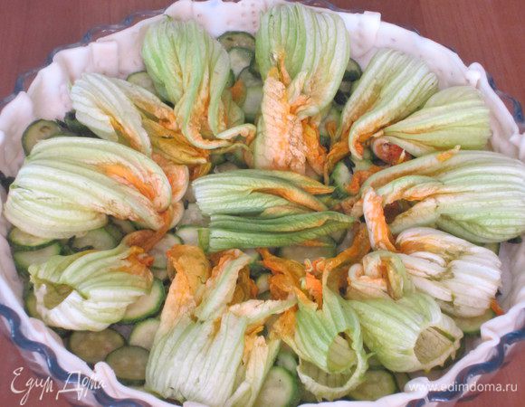 ......цветки цукини......