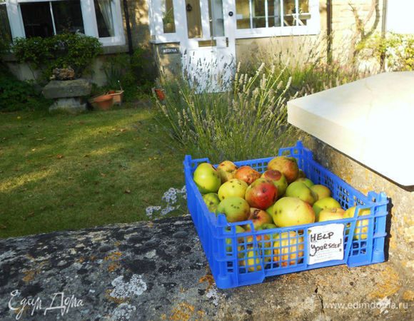 а так владельцы яблок предлагают прохожим забрать излишки себе.)))