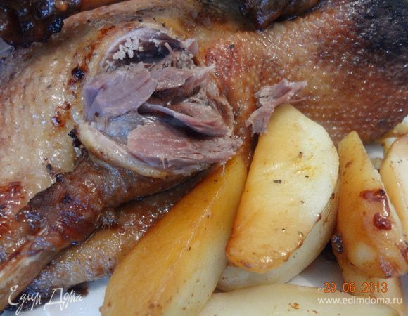 Подавать горячим с любимым салатом и напитком.