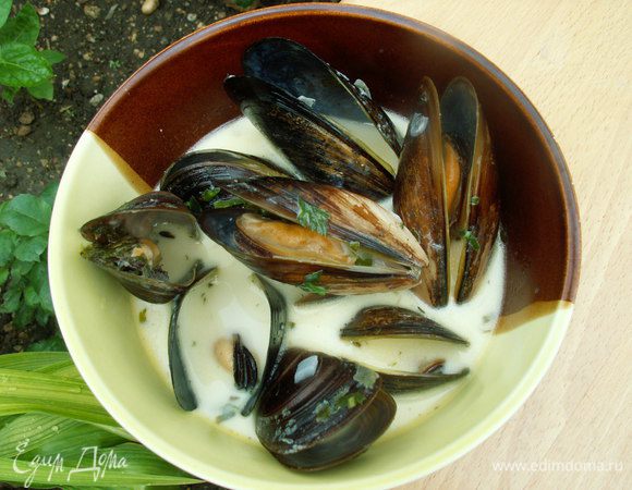Мидии выкладываем в тарелку и поливаем соусом.