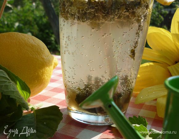  А теперь ориентируясь на свой вкус, кладем в красивый (или какой найдется) стаканчик мохито-кашу. позже вы сами решите для себя пропорции составляющих. я люблю сладко, а мама покислее. достаем из холодильничка заныканную по случаю бутылочку газированной минералки. простая прохладная вода тоже подойдет. бабульке своей мы вообще горячую из чайника наливаем и она пьет как чай. итак, водичка в стаканчике. теперь нужны коктельные трубочки, иначе веселые плевалки мятными лохмотьями и лимонной кожурой надолго запомнятся. кубики льда будут к месту.  А ТЕПЕРЬ ПРОЧЬ ТЯПКИ-ЛЕЙКИ. УСАЖИВАЕМСЯ В ДАЧНОЕ КРЕСЛО ( НЕ ЗАБУДЬТЕ ПОДЛОЖИТЬ КИРПИЧИК ПОД СЛОМАНУЮ НОЖКУ), НАКРЫВАЕМСЯ ДАЧНОЙ ШЛЯПОЙ. И...МЫ НА КУБИНСКОМ ПЛЯЖЕ. ЛЕГКИЙ ВЕТЕРОК, НЕЖНЫЕ АРОМАТЫ ЦВЕТОВ...А ЕСЛИ ДУШНО И НАЗОЙЛИВЫЕ МУХИ - ТОГДА МЫ В КУБИНСКОМ БАРЕ. А ВЕЧЕРОМ МОЖНО ДЛЯ ВЗРОСЛЫХ ПОЗВОЛИТЬ НАКАПАТЬ ТУДА АЛКОГОЛЬ.  прости меня, Куба, но мохито и после баньки классно попить. НАСЛАЖДАЙТЕСЬ, ГОСПОДА