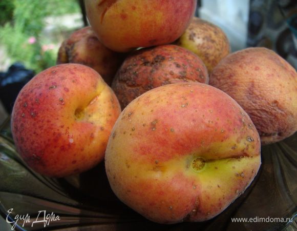 домашние абрикосы;Р)вымыть и выложить на дно половинками))