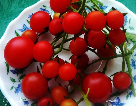 Хвастаюсь))))))))))))))))))))))) Сегодняшний салат из помидоров, выросших на моем импровизированном огороде на балконе)))))))))))) Помидоры помыть и порезать пополам.