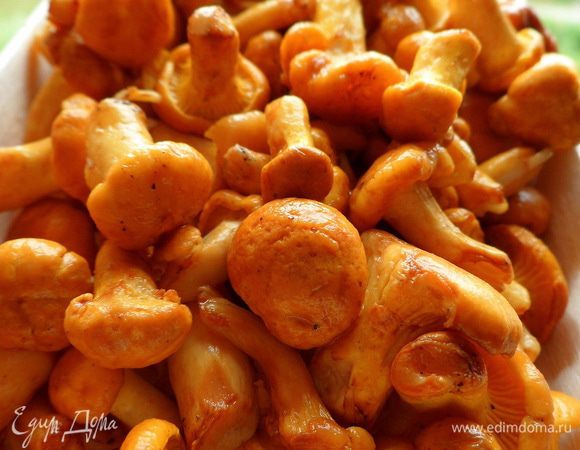 Лисички хорошо промыть,обсушить