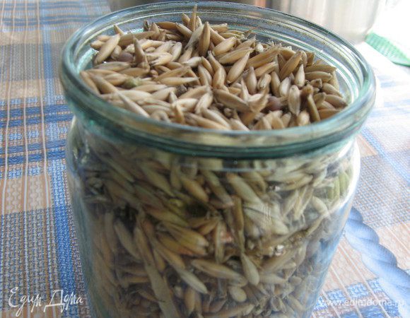 Овес перебрать и промыть