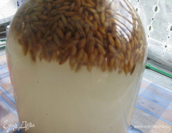 Поставить на 3-5 дней в темное место. Раз в сутки можно перемешать. Но если забудете, ничего страшного не произойдет. В результате брожения овес поднимается вверх. В принципе через 3 дня квас уже готов, но если вы любите резкие напитки, то нужно выдержать его 4-5 дней. Больше нельзя, иначе это уже будет алкогольный напиток...