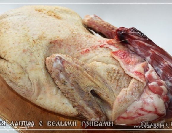 Утка. Кто-то из морозилки доставать пойдет, а у нас в деревне … оно, конечно, хлопотнее – поймать сначала, потом эта … ощипать в общем надо, но зато и вкуснее получается не в пример. Уж поверьте.