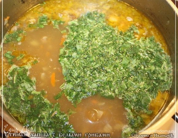 Накрываем кастрюлю крышкой и пусть себе потомится еще минут двадцать. 
А минут через эти двадцать, добавить в бульон лапшу.
Я, знаете, жирок лишний собрал с поверхности бульона, перед тем, как лапшу закладывать. Показалось, что больно жирновато получится. И, знаете, не прогадал. Минут пятнадцать варим, а потом высыпаем зелень рубленую и варим еще мину пять – десять.

