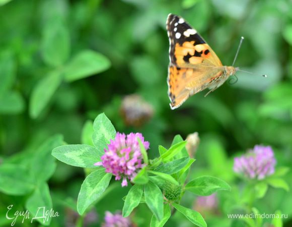 И немного красоты.
