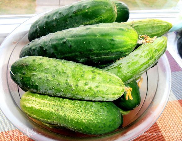 Огурцы берём упругие, сочные...