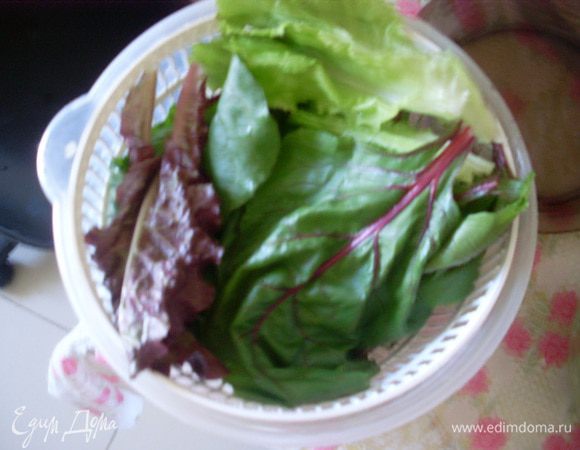 Помыть и обсушить листья салата и свеклы.