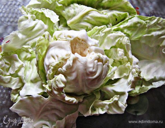 Капусту разделить на листья. Хорошо промыть.