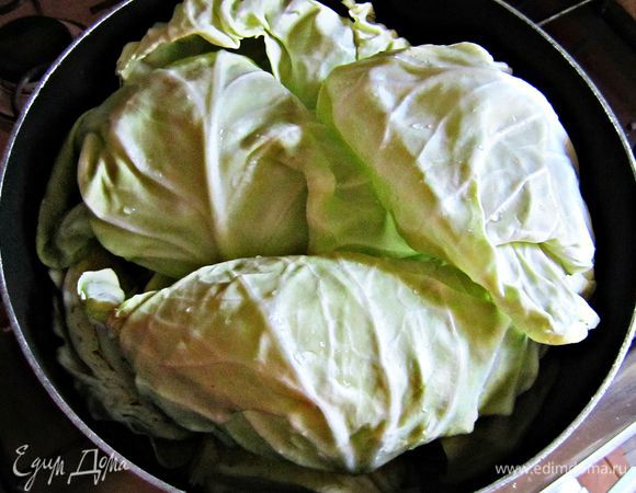 Отварить капустные листья в подсоленной воде в течение 3-5 мин. Воду слить, листья остудить.