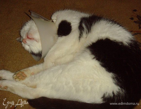 Для соуса смешать оставшиеся  кунжутное масло и соевый соус с кленовым сиропом, посолить, поперчить, добавить мелко нарезаный чили и кинзу. к сожалению фотографии не сохранилось.
А моя старушка опять всё проспала ))