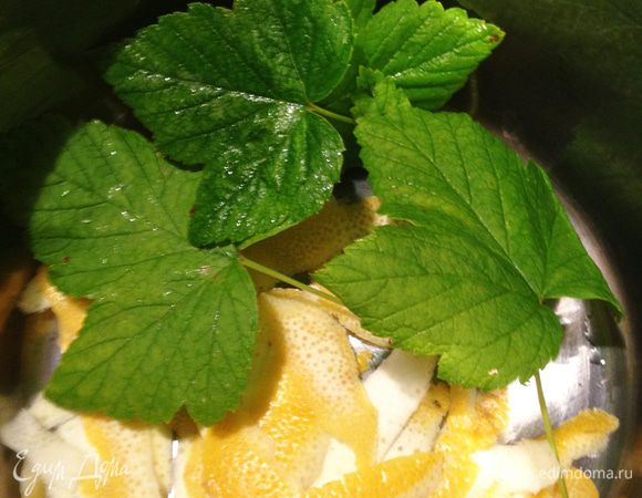 Лимон помыть, обсушить и снять с него цедру ножом для чистки овощей.  Лимон убрать в холодильник - он нам понадобится только через 24 часа. Цедру лимона с листьями смородины  положить в кастрюлю и добавить воды. Довести до кипения.