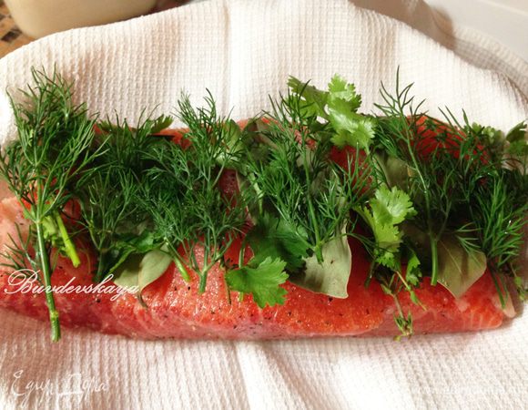2.	Застелить миску вафельным полотенцем, хлопковой тканью или сложенной марлей. Выложить один кусок семги. На него положить лавровый лист и веточки зелени. 