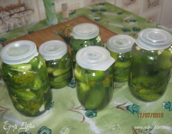 В банку: слой огурцов, зонтик укропа, 2 маленьких кусочка хрена, зубчик чеснока, 2 вишневых листа и один лист черной смородины. Слои повторяются пока  баночка не будет наполнена полностью. Залить остывшим рассолом и закрыть пластмассовой тугой крышкой. Приятного Вам аппетита!!!