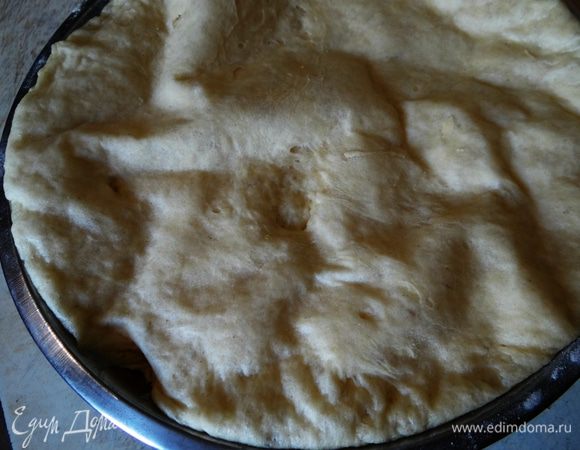 К опаре добавить муку и соль, замесить мягкое тесто. Оставить его на время (не менее 1 часа). 
Пошедшее тесто увеличится в два раза в объеме. 