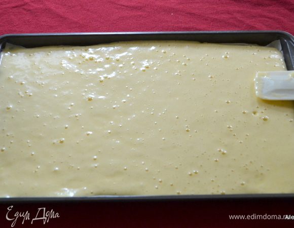 Просеять муку с разрыхлителем и солью на взбитые яйца с сахаром. Медленно перемешать. Вылить на противень , тесто распределить ровно по нему. Поставить выпекать на 10-15 мин.