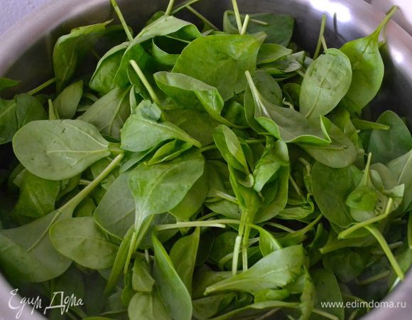Прежде чем перейти к замесу теста, подготовить шпинат. Вымыть, слегка обсушить листья шпината и положить на сухую сковороду. Поставить на огонь. 