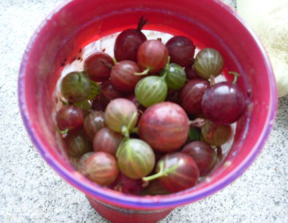 Помыть крыжовник и частями молоть его в блендере.