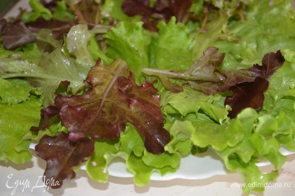 На блюдо выложить листья салата