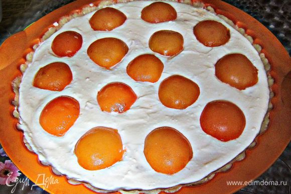 Сверху творожной массы уложить половинки абрикосов срезом вниз.