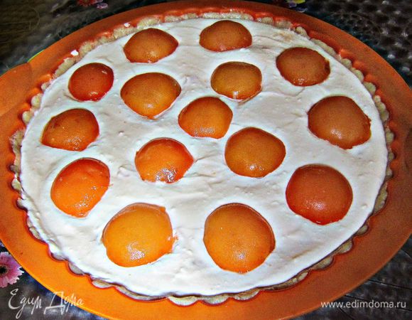 Сверху творожной массы уложить половинки абрикосов срезом вниз.