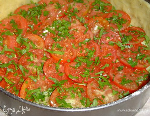 следующий слой - нарезанные кружочками помидоры и измельченная зелень,