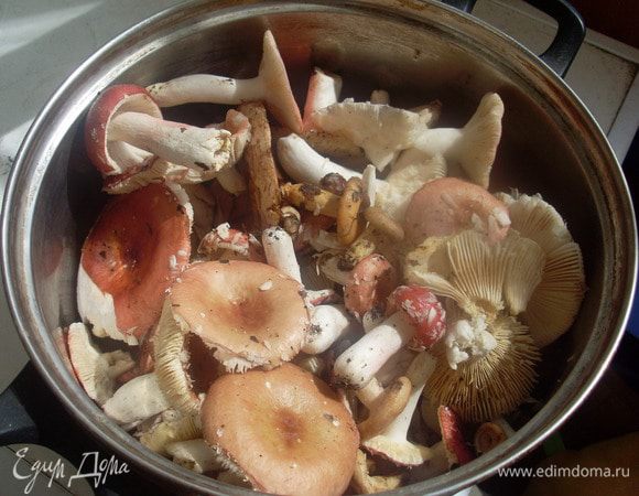 Это сыроежки  и грузди.