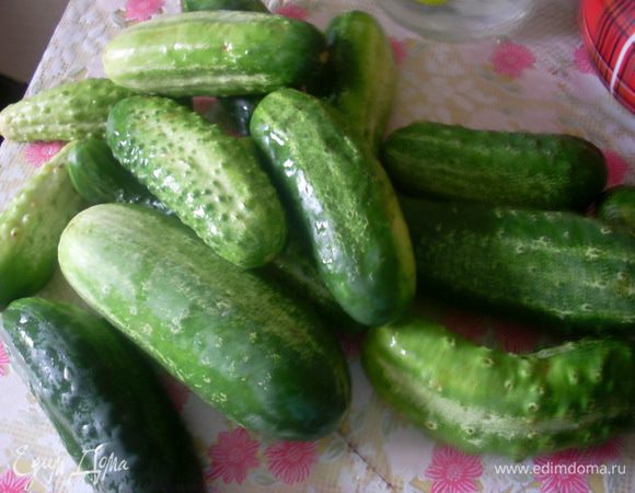 Вот такие огурцы. 