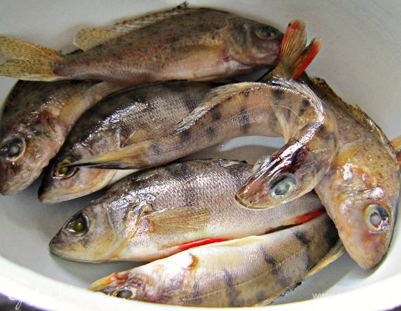 Из мелкой рыбки сварить бульон, добавив соль, 1 луковицу и специи: горький и душистый перец, лавровый лист. Этот шаг не обязателен, но дальше вы поймёте, что я решила его включить не только потому, чтобы использовать мелкую рыбёшку и порадовать мужа-рыбака, но и для того, чтобы усилить рыбный вкус блюда. 