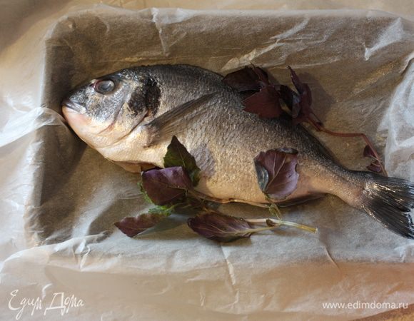 Это тоже простой рецепт. Берем рыбу,выпотрошим ее,очистим от чешуи и тщательно промоем и обсушим. Посолим,поперчим,сбрызнем соком лимона и уложим в противень,застеленный пергаментом. Вокруг обложим листиками базилика.