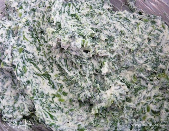 В отдельный  кастрюли ( широкой и глубокой) тушить листья шпината с небольшим количеством воды. Тушить шпинат на среднем огне до мягкости. Перемешивать шпинат каждые несколько минут, чтобы не пригорел . Когда шпинат станет мягкий ,  дать не много остыть и очень хорошо отжать , мелко нарезать  и положить в миску. Добавить  в шпинат сыр рикотта, соль, перец, мускатный орех и  чеснок и перемешать. 
