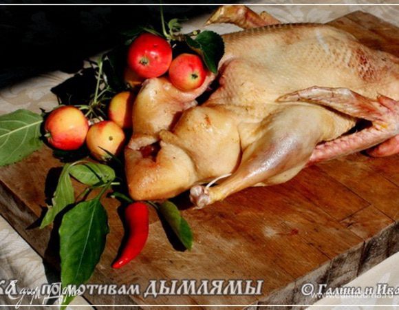 Итак, вот она – утка. Домашняя. Творогом и прочим всяким исключительно натуральным и экологически чистым кормом вскормленная, водой колодезной вспоенная. Спросите – откуда знаю? Дык ить со свого, как говорится, огороду. Поэтому и утверждаю. 