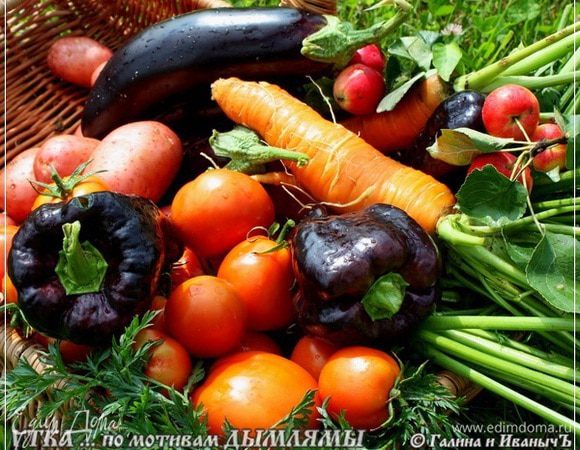 Да и овощной весь набор…, знаете, я ждал именно «тогда», когда все вырастет и заколосится, а значит, будет готово к употреблению в процессе приготовления дымлямы.
Вот такую корзинку принес я с огорода.
