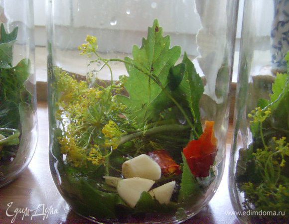 На дно каждой банки уложить по веточке вишни, смородины, дуба, хрена, несколько зубков чеснока и кусочек чили.