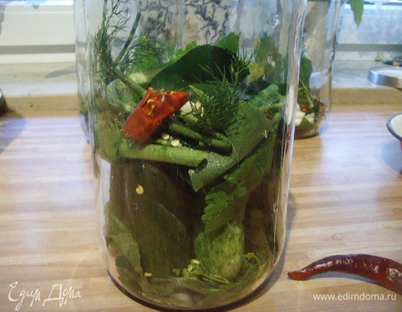 Затем в один слой огурцы (я выкладываю стоя), затем опять слой зелени, чеснок и чили и опять слой огурцов.
