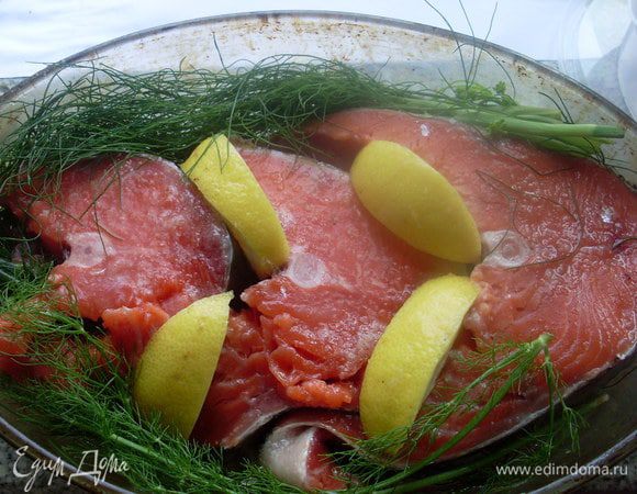 Нарезала чавычу поперек (мне достался кусочек около головы, плавнички и самый верхний кусочек оставила на уху). От шкуры и костей не отделяла, по-моему так вкуснее получается.
В форму для запекания выложила фенхель, на него - куски чавычи, присолила, сбрызнула оливковым маслом. 
Лимон нарезала дольками и сложила их к рыбе, шкуркой вверх.