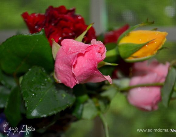 С Днем Рождения, Юлия !!! 