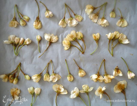 Бутоны яблони промыть водой, обмакнуть полотенцем. Положить под пресс, между  двумя досками на некоторое время, что бы цветы сплющились.
Противень выстелить бумагой для выпечки. Цветы разложить на бумаге.
