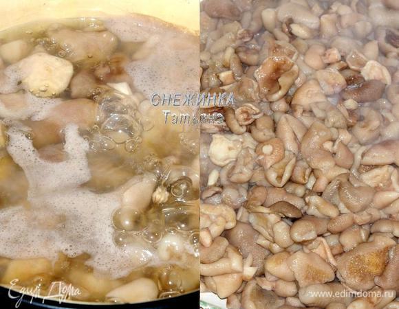 Грибы почистите, помойте, отварите в подсоленной воде с добавлением лимонной кислоты 30 минут. Готовые грибы откиньте на дуршлаг, отправьте в таз или кастрюлю (эмалированную), в которой будете варить солянку.