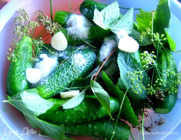 Остальные огурчики превратим в малосольные по быстрому рецепту (http://www.edimdoma.ru/retsepty/44604-malosolnye-ogurtsy-vsuhuyu)...Пакет можно заменить большой миской с крышкой,но не заполнять до верха!