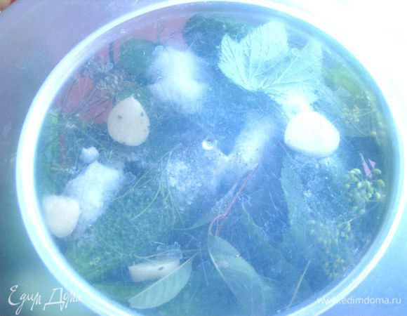 Закрыть плотно крышкой и хорошенько протрясти...Убрать в холодильник...Процедуру можно спустя время повторить! Через несколько часов можно пробовать)))