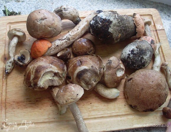 Вот такие грибочки, у меня в садочке.